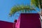 Bright pink tropical style building with wood siding under a blue sky and palm tree fronds