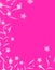 Bright Pink White Flowers Background