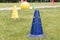 Bright plastic sports cones on the green grass outdoors to train the children`s team.