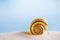 bright polymita shell on white beach sand under the sun light