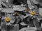 Bright Pops Of Yellow Flower Pollen Against A Monochrome Background II