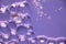 Bright Purple Bubble Cells Background Texture