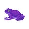 Bright purple frog with spots on back. Amphibian with green eye, squat body, smooth skin, and long hind legs. Flat