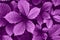 Bright purple grape leaves closeup. Beautiful artistic nature background