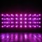 Bright purple LED wall lamps illuminate the background with incandescence