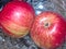 Bright red apples from the garden. Autumn harvest. Natural and environmentally friendly fruits.