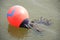 A bright red ball buoyant float securing rope on murky water