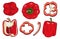 Bright red bell pepper. Hand drawn vector vegetables isolated on white background. Whole capsicum, halved pepper and slice. Tasty