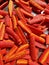 Bright red Carrot slices with yellow blaze in middle