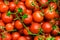 Bright red cherry tomatoes with green tails and twigs