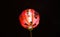 Bright red chinese lantern at night, with black background