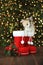 Bright Red Chritmas Santa Boots with an Adorable Kitten