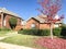 Bright red color maple tree in front of single family home in Te