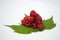 Bright red fresh raspberries, from a family orchard. The raspberry type is Polana