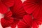 Bright red hearts of folded of chinese paper fans as romantic Valentine day background, texture, closeup, top view.