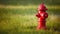 Bright red isolated fire hydrant sits in a freshly cut grass field, Generative AI