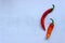 Bright red and orange chili peppers on light stone background.