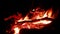 Bright red and orange flames on a black background, hot coals, crackling fire and burning tree branches.