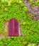 Bright red shuttered window surrounded by green creeping vines o