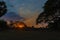 Bright red sunset in Angkor Wat through the acacias branches