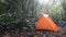 A bright red tent on the edge of the rainforest