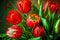 bright red tulips bouquet of beaful festive spring flowers