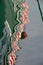 Bright red and white candy stripes in distorted reflection of boat in water