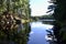 Bright reflections over lake at Algonquin Park