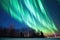bright ribbons of northern lights across the stark polar sky