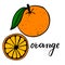 Bright ripe orange with one green leaf. Half a citrus in section. Lettering word orange.