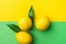 Bright ripe organic lemons on contrast duotone background from combination of yellow green colors. Creative image. Tropical fruits