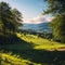 Bright rolling countryside around a farm in the morning light. Picturesque day and gorgeous scene. Location place