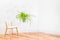 Bright room corner with simple furniture and Asparagus fern plant