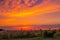 Bright rural evening landscape. Field with sunflowers at sunset. Defocused background