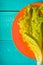 Bright salad leaf on an orange plate on a turquoise table closeup