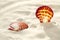 Bright Scallop shell on fine white beach sand