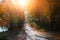 Bright and scenic landscape of new road with bicyclist across auttumn trees with fallen orange and yellow leaf