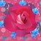 Bright seamless floral pattern with large crimson rose, small blue cosmos flowers, stars, hearts, musical symbols