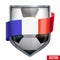 Bright shield in the football ball inside with French ribbons.