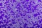 Bright and Shiny Precious Rhinestone Swarovski crystal color on a purple background.