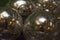 Bright, shiny, silver-colored metallic balls are viewed close-up and grouped together