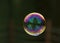 Bright soap bubble flying on the air