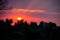 Bright solar disk over a trees at sunrise