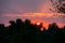 Bright solar disk over a trees at sunrise