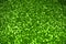 Bright sparkle green background. Holiday and festive concept.