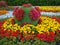 Bright sphere shaped multi-colored flowerbed with colorful flowers growing on it