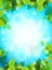 Bright Spring realistic background, blue sky, green leaves. The sun\'s rays, glare, glow. Template for web design. Vector