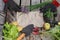 Bright still life on the theme of garden and harvest, tools and vegetables lie around the paper for your text