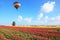 Bright striped balloon flies over a field