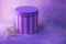 Bright striped purple pink violet round flower closed gift box with branch with needles and little flowers. Cylindrical shape.